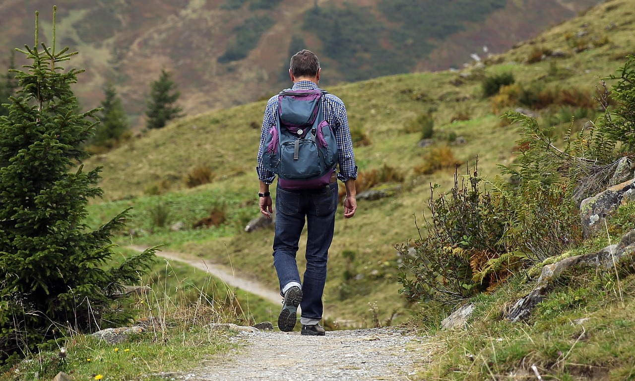 Hikers exploring a scenic mountain trail